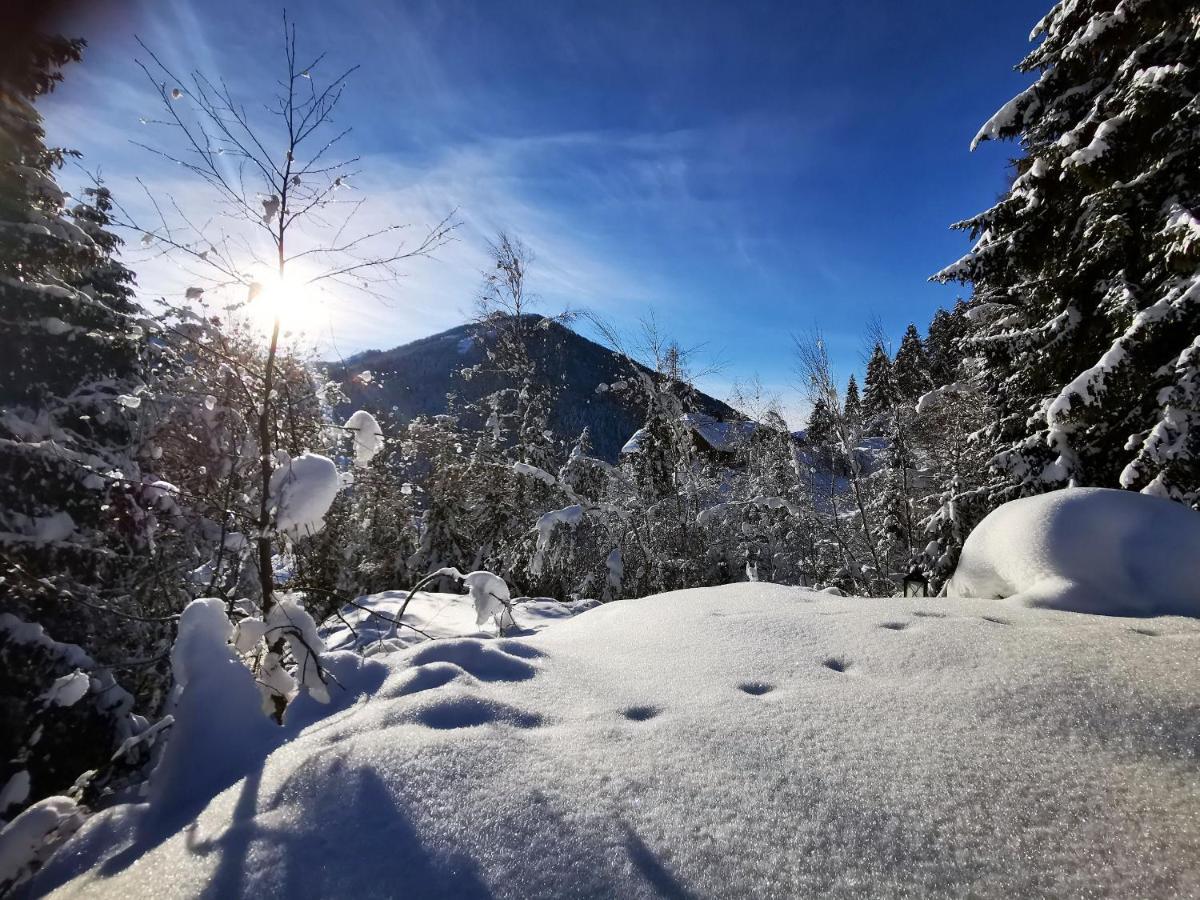 Chalet Caprea Бад-Кляйнкірхгайм Екстер'єр фото